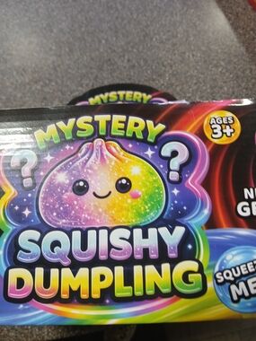 Mystery Squishy Dumpling **EMPTY BOX** ONLY